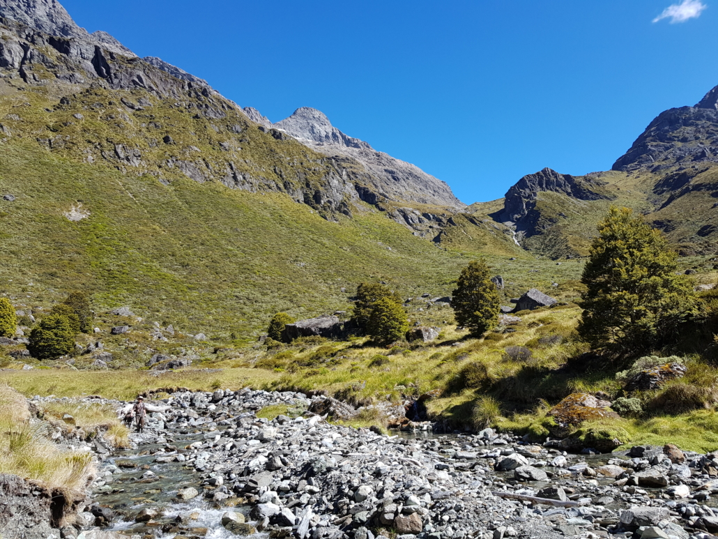 View of mountains from the valley on Scott Creek walk near Glenorchy