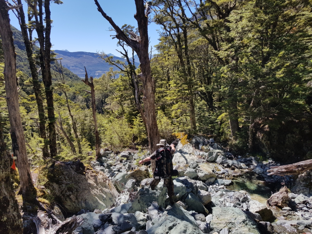 Jumping between rocks down the riverbed on the Scott creek track
