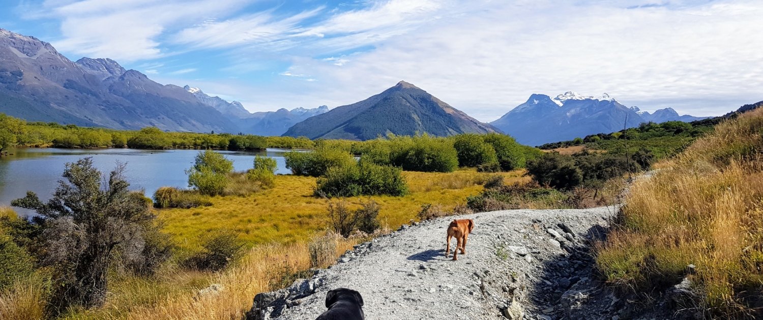 Gravel path along lagoon with 2 dogs walking and mountain views