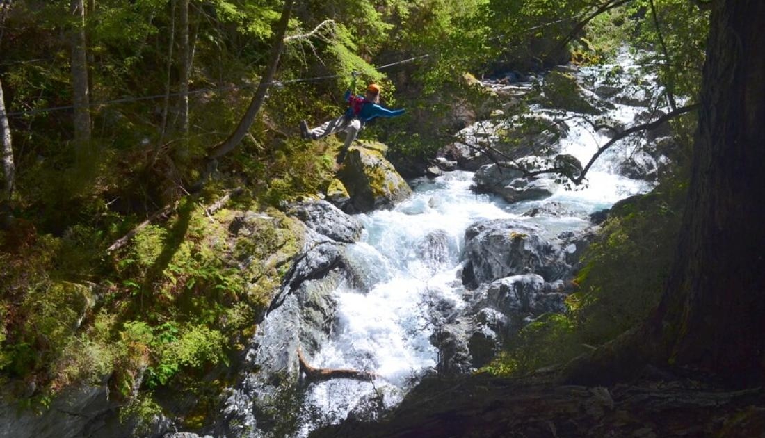Person ziplining over river through forest