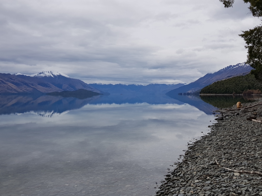 Reflections of mountains in Lake Wakatipu from Kinloch nature walk