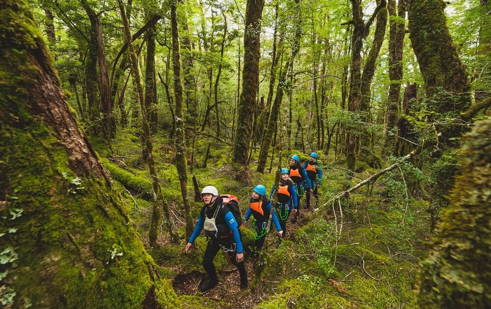 Group in wetsuits hiking through mossy forest